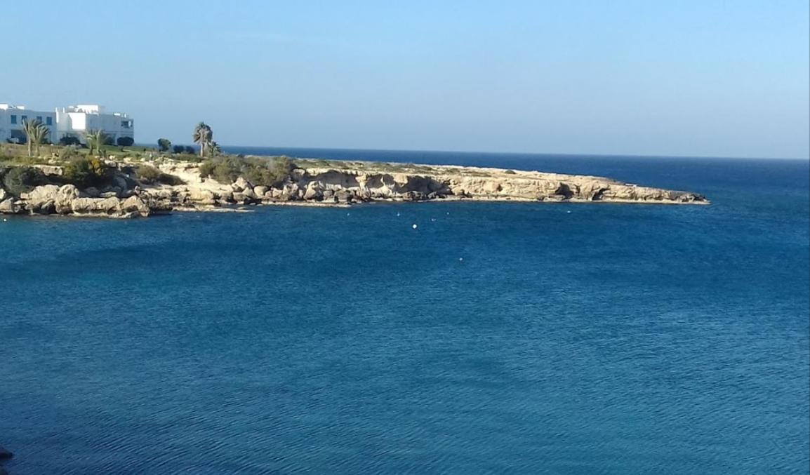 Апартаменты Coralli Superior Seaview